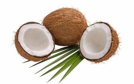 为什么椰子上的毛捋不顺