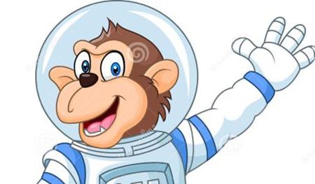 为什么用猴子作为太空实验动物？