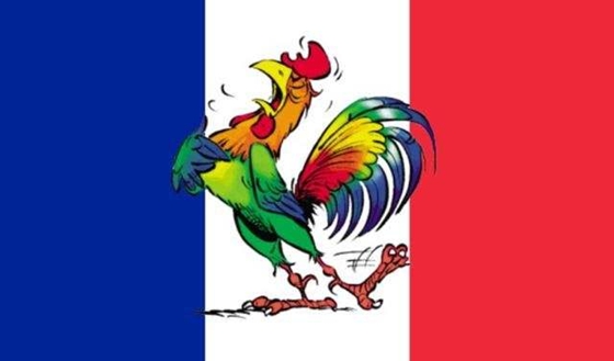 法国为什么叫高卢雄鸡,高卢雄鸡是什么意思