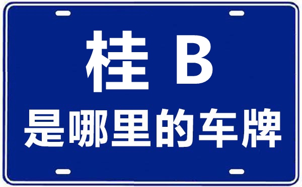 桂B是哪里的车牌号,柳州的车牌号是桂什么