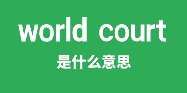 world court是什么意思