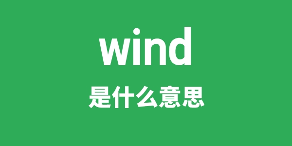 wind是什么意思