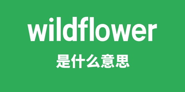 wildflower是什么意思