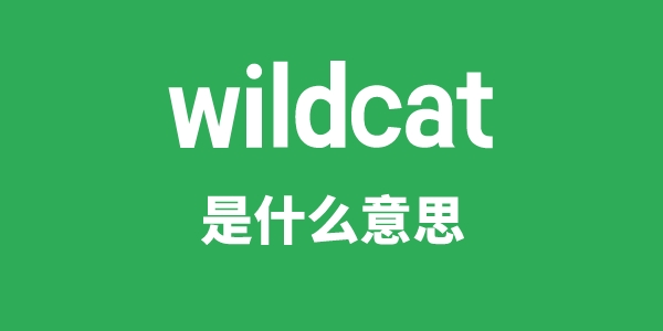 wildcat是什么意思