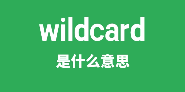 wildcard是什么意思