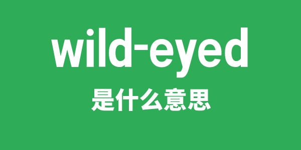 wild-eyed是什么意思