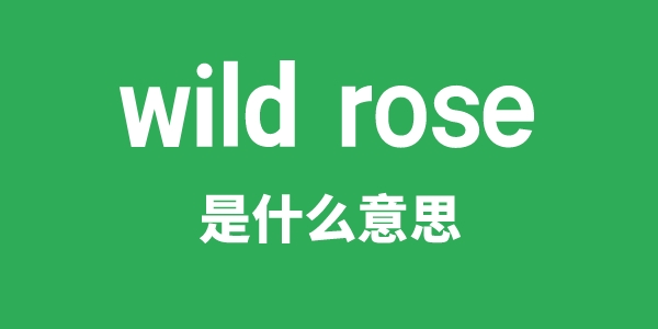 wild rose是什么意思