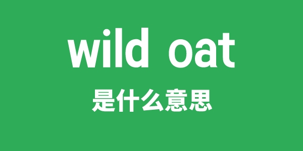 wild oat是什么意思