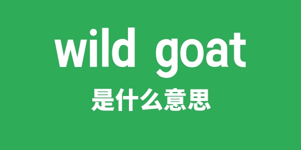 wild goat是什么意思