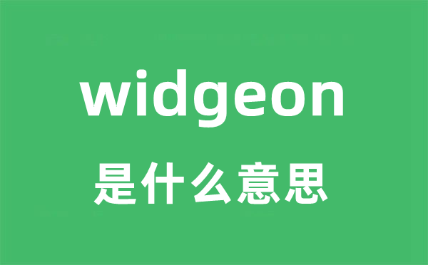 widgeon是什么意思