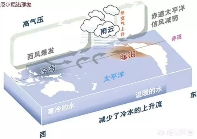 厄尔尼诺现象是什么意思,厄尔尼诺现象对中国的影响是什么