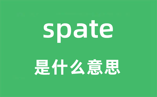 spate是什么意思,spate怎么读,中文翻译是什么