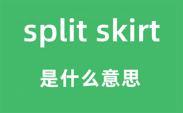 split skirt是什么意思,中文翻译是什么