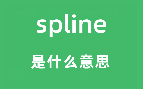 spline是什么意思,spline怎么读,中文翻译是什么