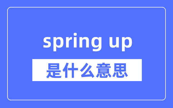 spring up是什么意思,spring up怎么读,中文翻译是什么